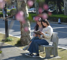 若从搜索引擎进入
