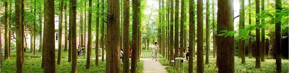 版权所有 © 星空体育在线活动入口星